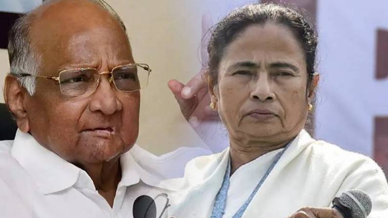 Pawar calls Mamata Banerjee in the battle between TMC vs BJP | Bengal  Election: TMC बनाम BJP में जंग के बीच पवार ने किया ममता को फोन, मुलाकात जल्द