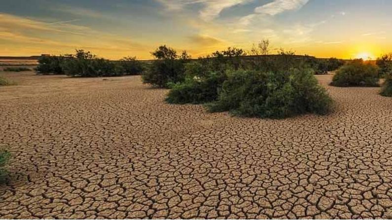 Drought Impact on Economy: United Nation report reveals, drought will be next pandemic, GDP loss up to 5%