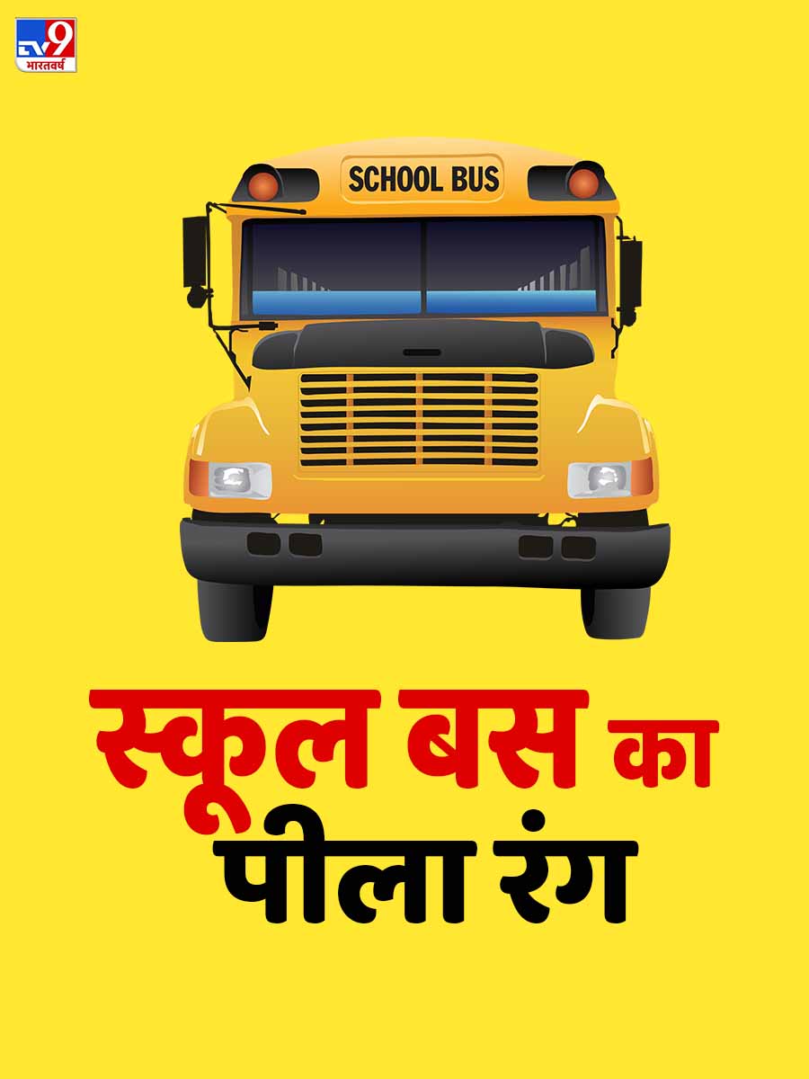 स्कूल बस का रंग पीला क्यों होता है? TV9 Hindi Why School Bus Colour