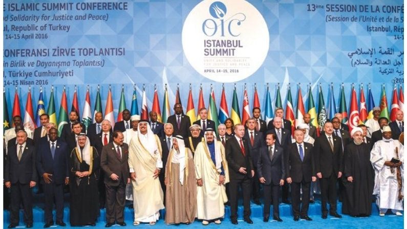 Pak's 'nefarious move'!  Seduced the OIC on the Kashmir issue, now this organization of Muslim countries also entered the 'controversy'