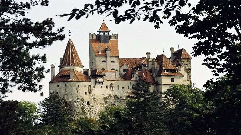 Dracula Bran Castle (7)