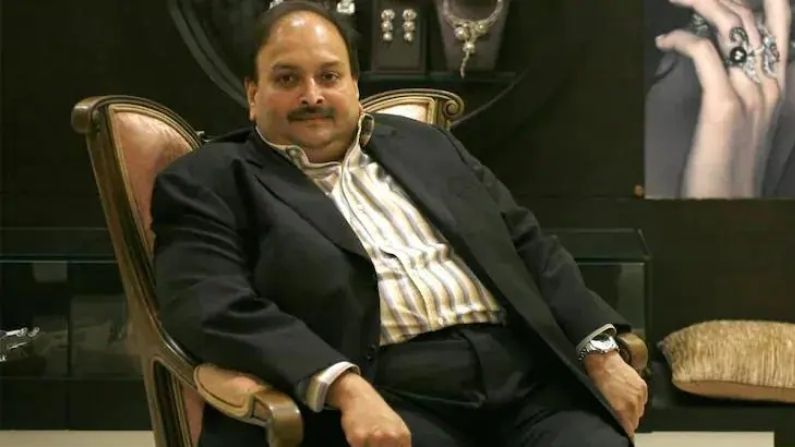 This company of fugitive businessman Mehul Choksi is about to be sold, the government has stamped