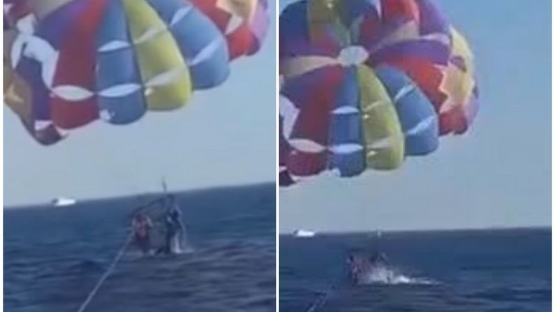 Shark Attack: Parasailing had to be heavy, suddenly the shark came out of the water and attacked on the leg, watch video