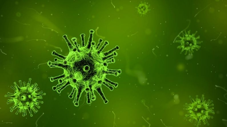Study on Virus: More than 54 thousand viruses were found in human intestine, there was no information about 92 percent
