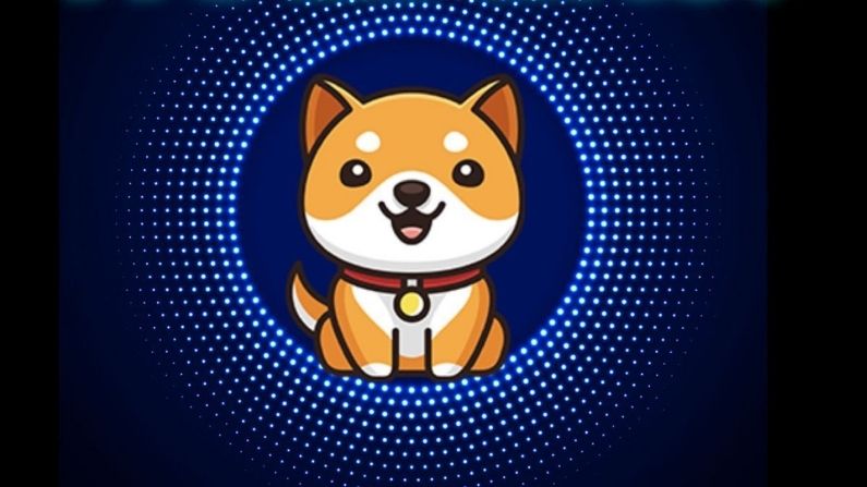 After Dogecoin, now the new cryptocurrency baby Doge in the market, doubled in price after Elon Musk's tweet